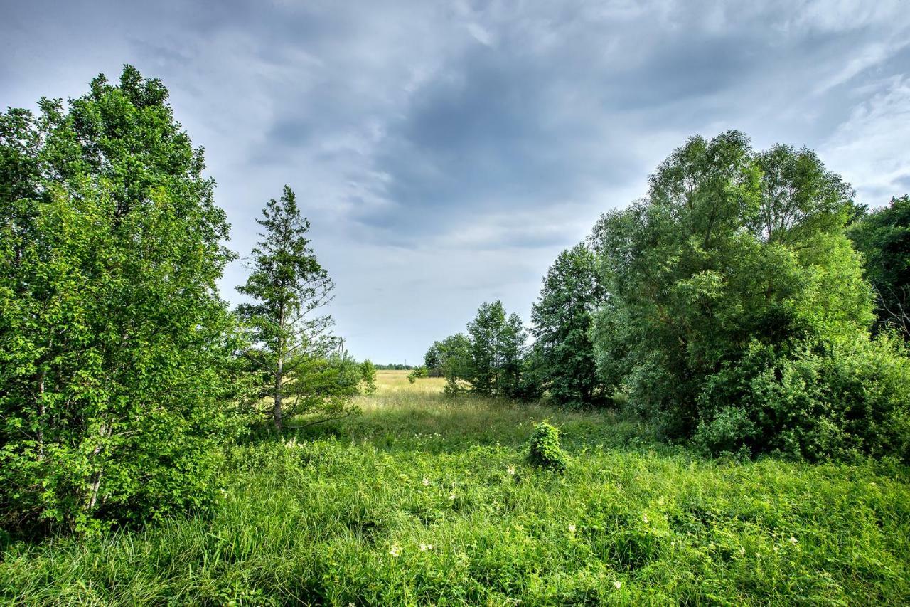 Blizej Natury Białowieża エクステリア 写真